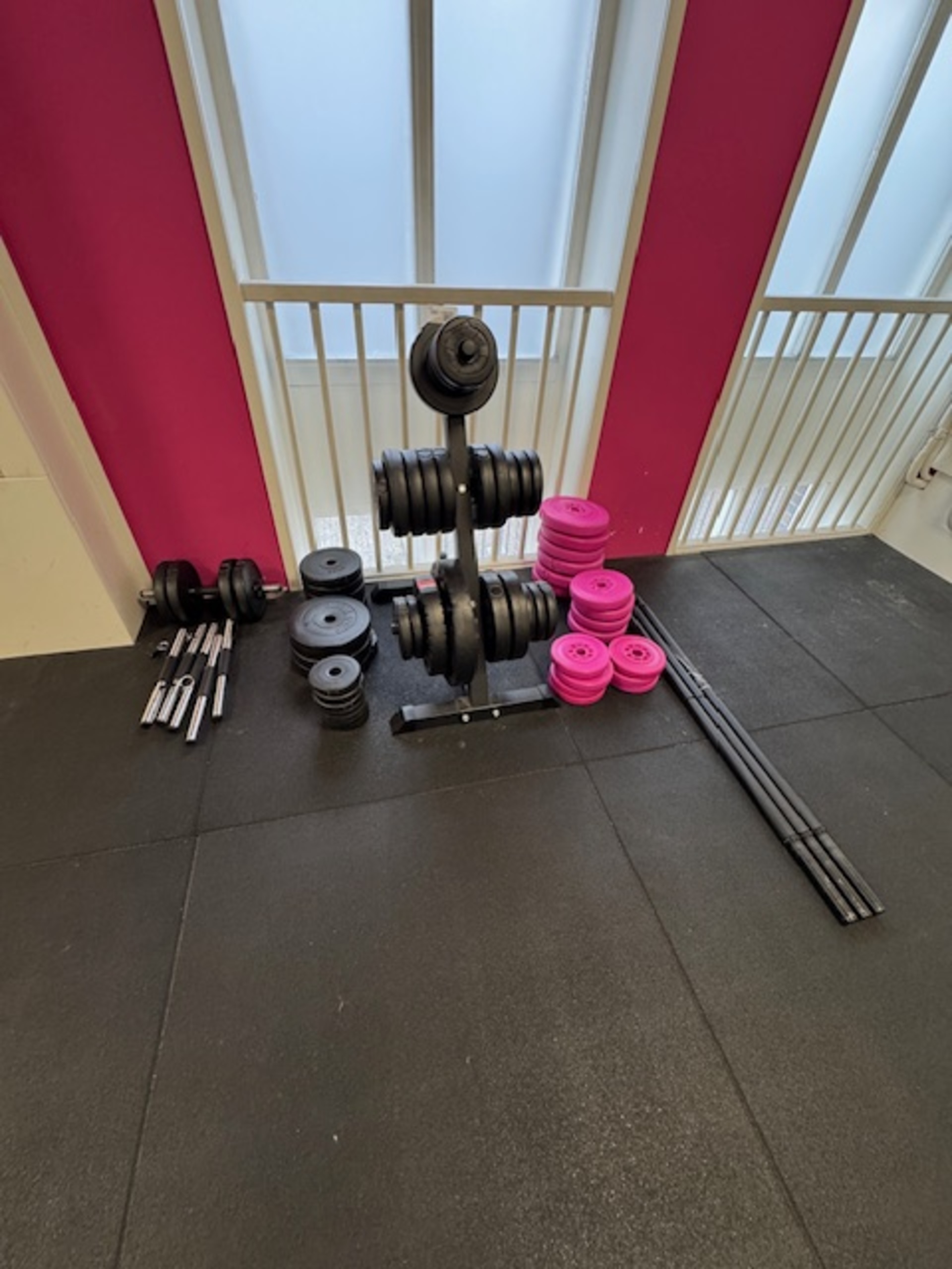 Halterrek met gewichten en toebehoren, grijs